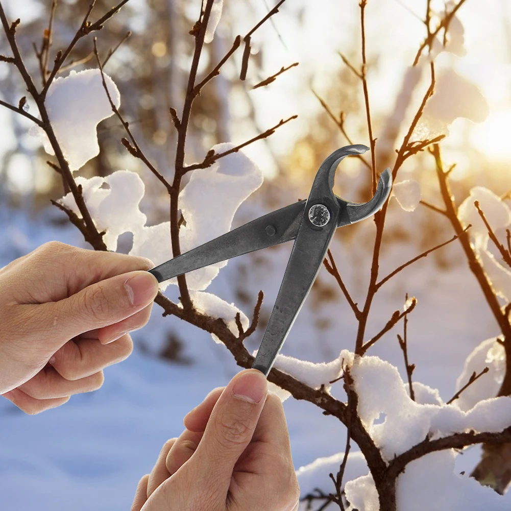 Alloy Gardening Styling Maintenance Tools Wear Resistance Tree Knots Pruning Pliers Plants Branch Pruner Cutter
Alloy Gardening Styling Maintenance Tools Wear Resistance Tree Knots Pruning Pliers Plants Branch Pruner Cutter