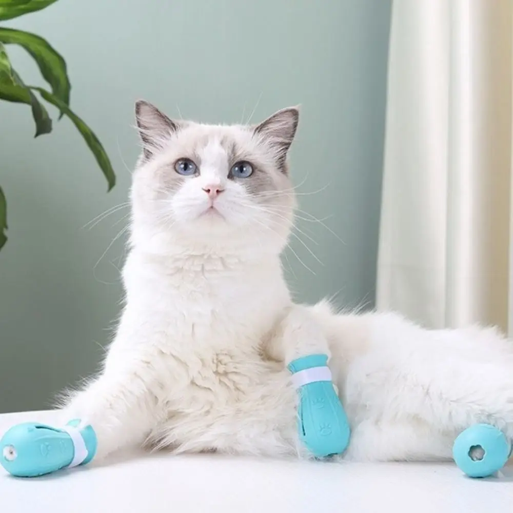 4PCS Bath Time Adjustable Cat Foot Cover Silicone Multi-Color Cat Claw Protector Waterproof Pet Bath Wash Boots Cat Care
4PCS Bath Time Adjustable Cat Foot Cover Silicone Multi-Color Cat Claw Protector Waterproof Pet Bath Wash Boots Cat Care
