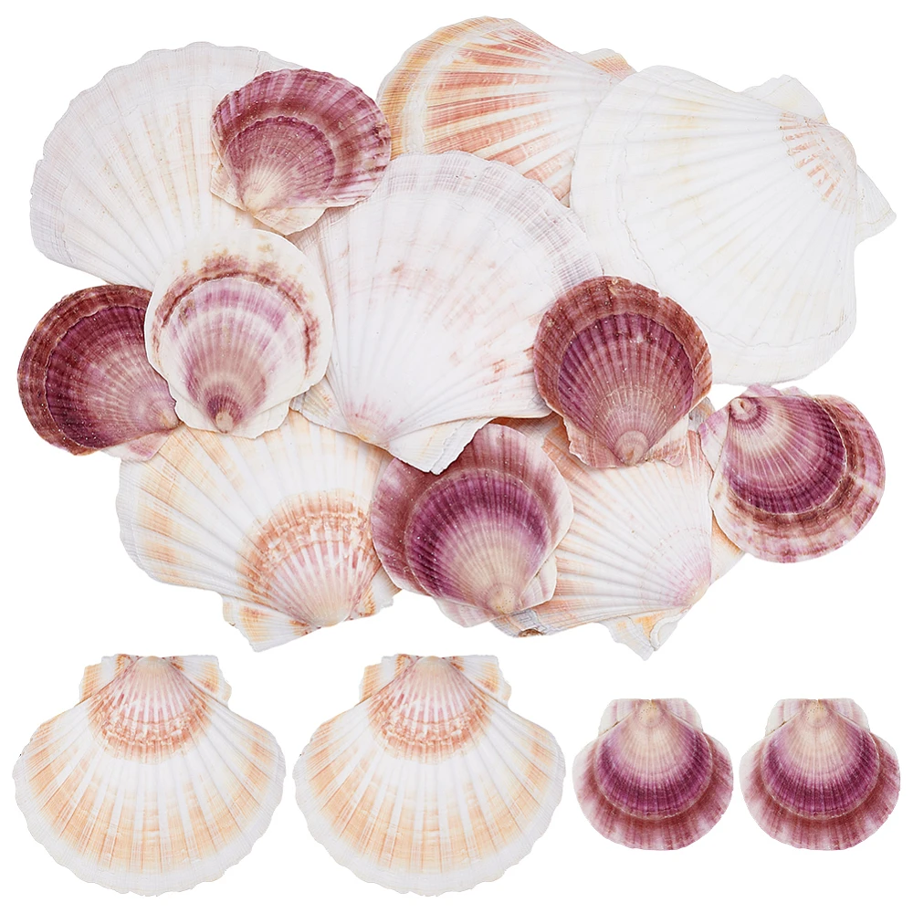 2 Styles Shell Scallop Shape Mixed Color 50~130mm 12pcs/set
2 Styles Shell Scallop Shape Mixed Color 50~130mm 12pcs/set