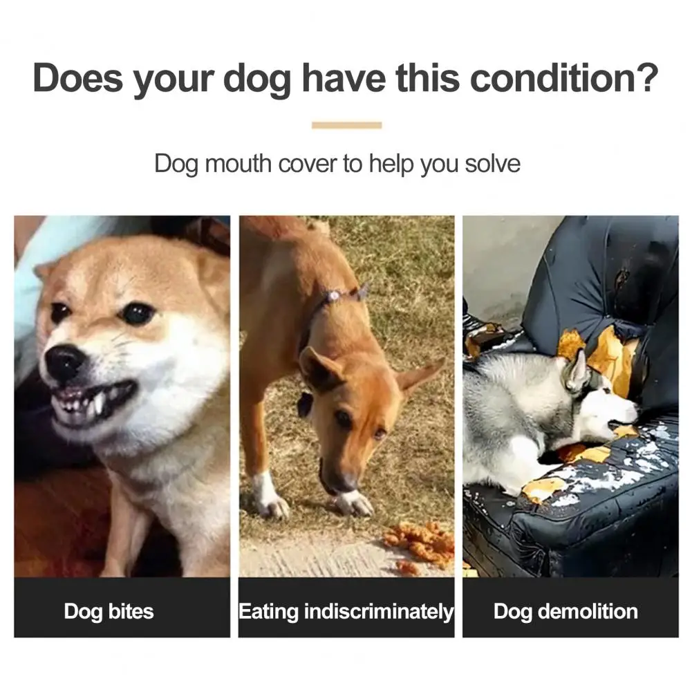 Adjustable Strap Dog Muzzle Comfortable Dog Muzzle Adjustable Breathable Dog Muzzle Widened Fastener Tape Design for Anti-biting
Adjustable Strap Dog Muzzle Comfortable Dog Muzzle Adjustable Breathable Dog Muzzle Widened Fastener Tape Design for Anti-biting