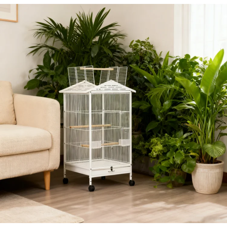 Элегантная складная клетка для птиц, клетка для домашних животных в домашнем стиле для маленьких птиц, многоуровневый дизайн, съемный поднос, коробка на колесиках
Элегантная складная клетка для птиц, клетка для домашних животных в домашнем стиле для маленьких птиц, многоуровневый дизайн, съемный поднос, коробка на колесиках