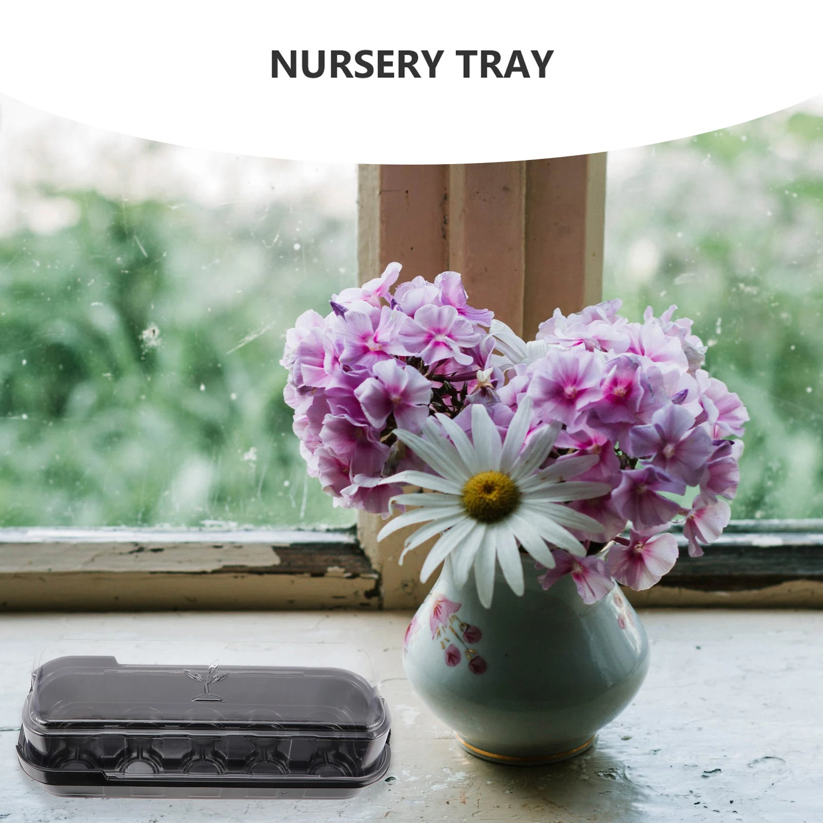 5Pcs Nursery Tray Plastic Sprouter Germination Box Transparent Propagator for Small Plants Vegetables
5Pcs Nursery Tray Plastic Sprouter Germination Box Transparent Propagator for Small Plants Vegetables