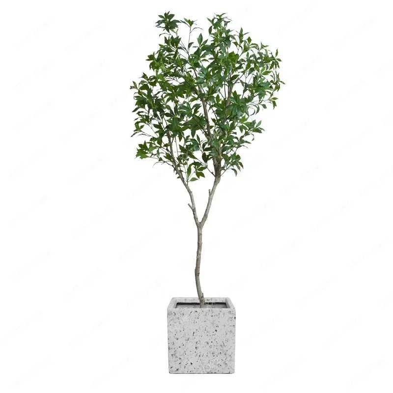 Real Tree Pole Simulation Green Plant Drunk Wood Bionic Plant Indoor Artificial Tree Floor Bonsai Living Room Decoration
Real Tree Pole Simulation Green Plant Drunk Wood Bionic Plant Indoor Artificial Tree Floor Bonsai Living Room Decoration