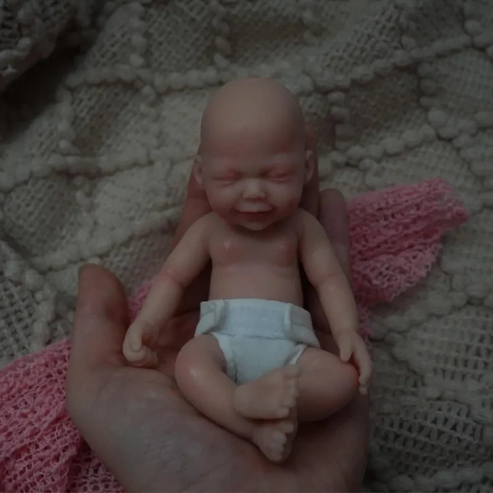 Reborn Baby Dolls 5.5 Inch Full Silicone Body Baby Doll Girl Mini Realistic Newborn Baby Dolls For kids gift
Reborn Baby Dolls 5.5 Inch Full Silicone Body Baby Doll Girl Mini Realistic Newborn Baby Dolls For kids gift