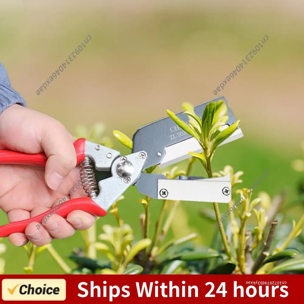 Многофункциональный инструмент для прививки саженцев фруктовых деревьев: нож для сращивания почек, прививочный инструмент из алюминиевого сплава
Многофункциональный инструмент для прививки саженцев фруктовых деревьев: нож для сращивания почек, прививочный инструмент из алюминиевого сплава