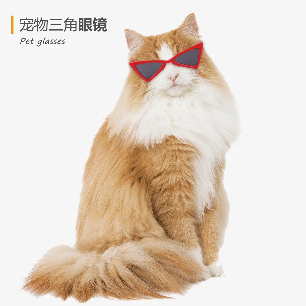 Triangle Sunglasses Pet Glasses Cat and Dog Glasses Design Sense Pet Accessories Kitten Accessories
Triangle Sunglasses Pet Glasses Cat and Dog Glasses Design Sense Pet Accessories Kitten Accessories