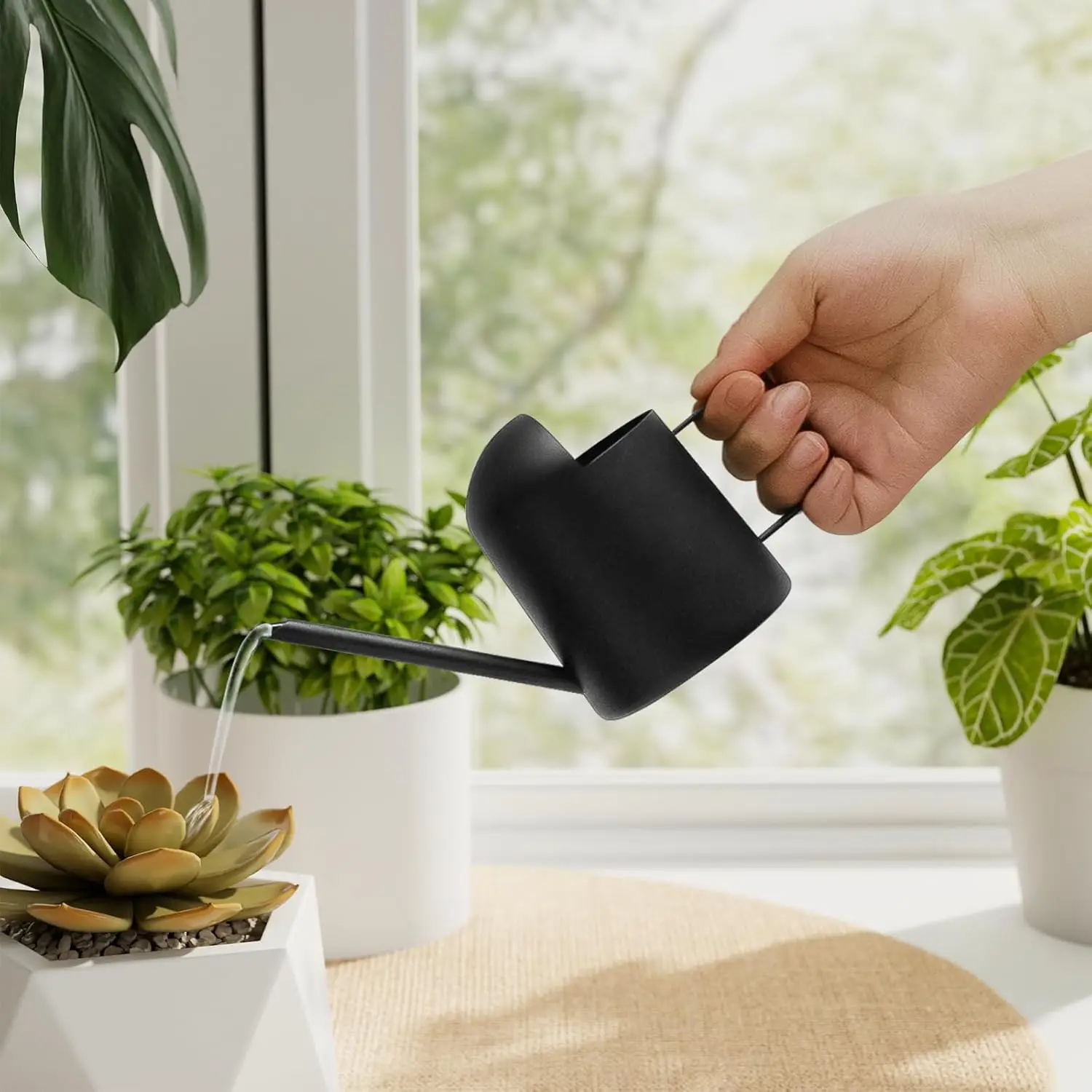 Small Watering Can Indoor Outdoor Plant Black Metal Stainless Steel Long Spout for Flowers House Garden Bonsai 10OZ
Small Watering Can Indoor Outdoor Plant Black Metal Stainless Steel Long Spout for Flowers House Garden Bonsai 10OZ