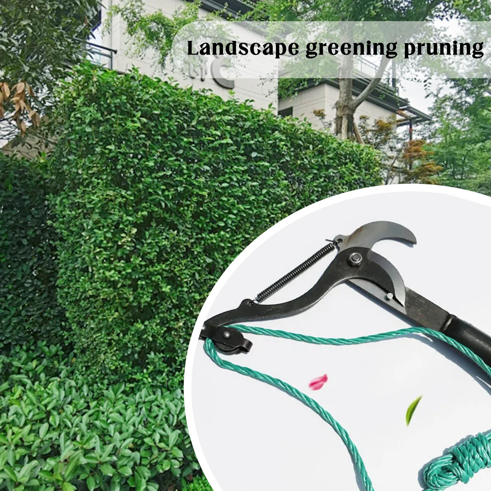Upper Air Green Tree Pruning Scissors Fruit Tree Ranches Pruning Scissors Suit For Lawn Afforest Flowerpot Gardening Supplies
Upper Air Green Tree Pruning Scissors Fruit Tree Ranches Pruning Scissors Suit For Lawn Afforest Flowerpot Gardening Supplies