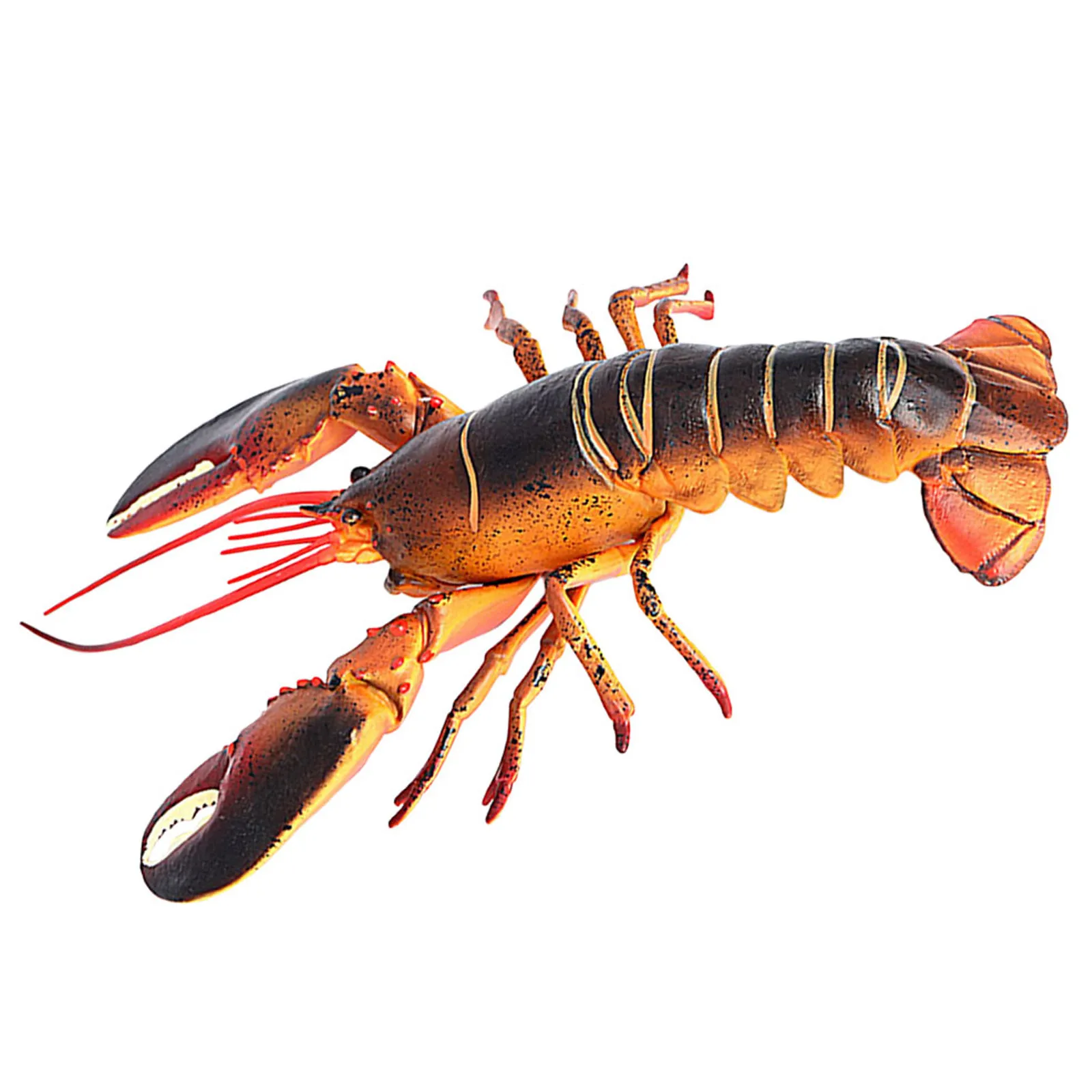Simulation Lobster Realistic Plastic Animal Educational Decor Lifelike Sculpture for Home Garden Desktop Decoration and Kids
Simulation Lobster Realistic Plastic Animal Educational Decor Lifelike Sculpture for Home Garden Desktop Decoration and Kids