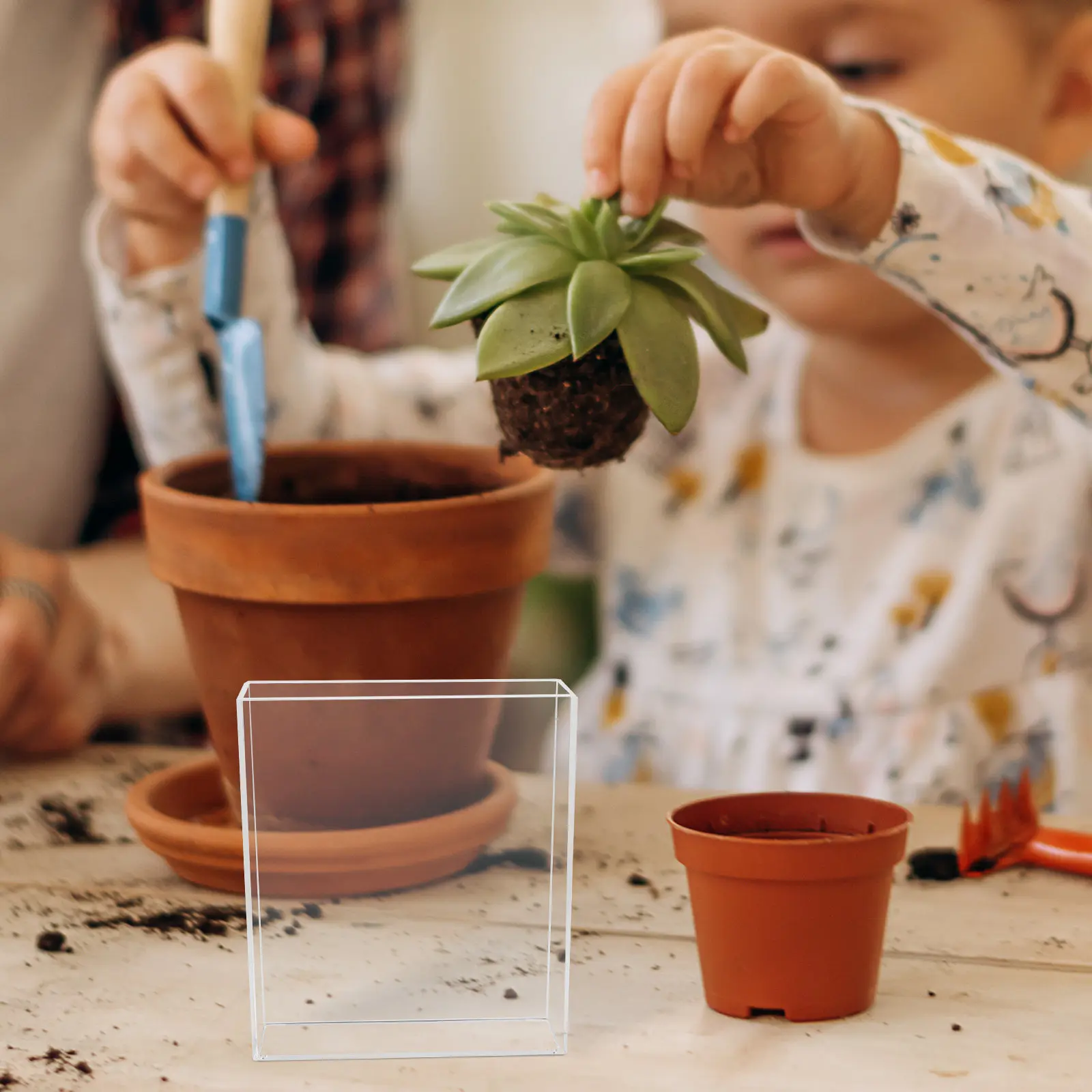 Children's Growing Plant Root Viewer Mini Greenhouse Indoor Seedling Starter Tray Educational Science Kit for Kids Microgreens
Children's Growing Plant Root Viewer Mini Greenhouse Indoor Seedling Starter Tray Educational Science Kit for Kids Microgreens