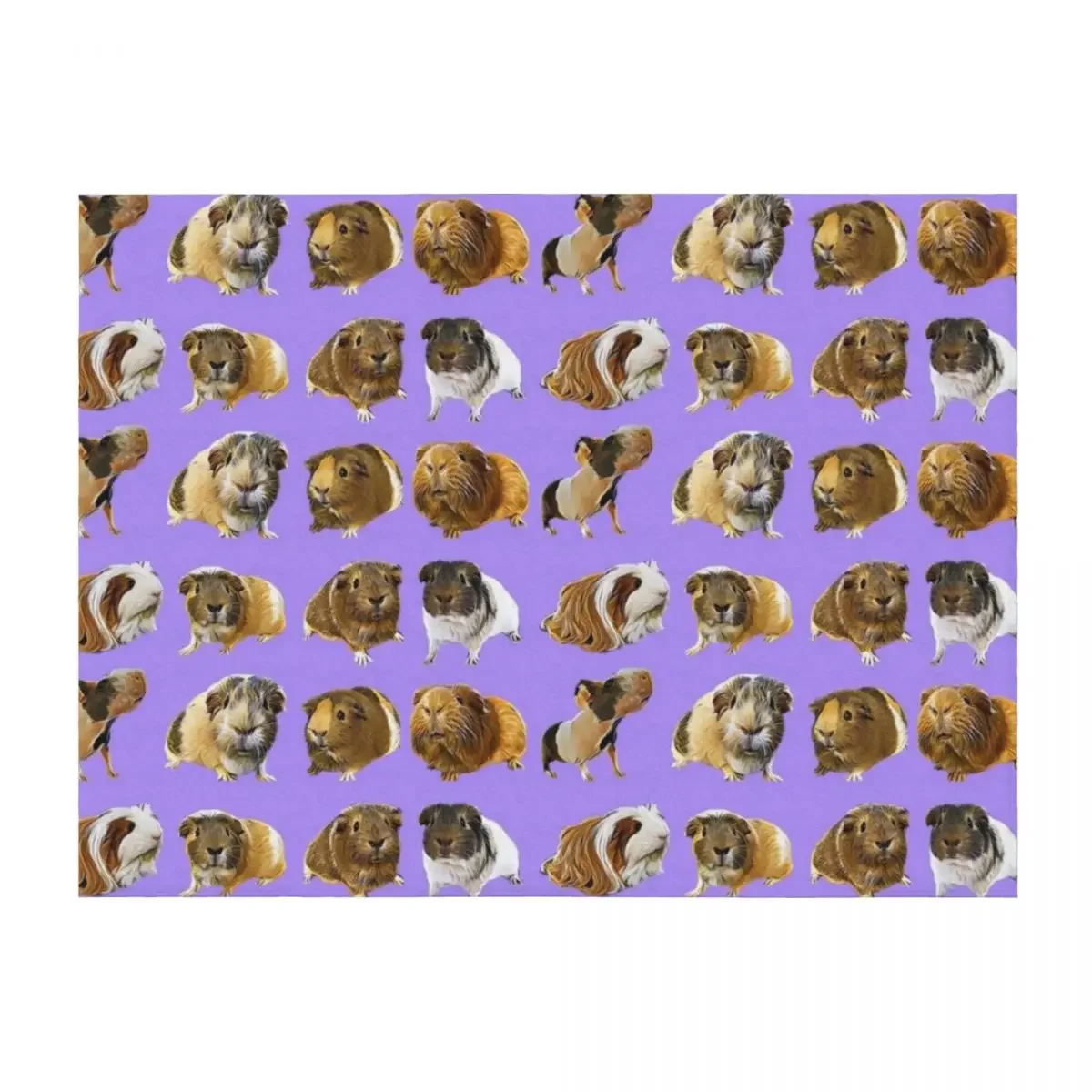 Guinea pig variety Throw Blanket for winter Plaid on the sofa Decorative Throw Custom Blankets
Guinea pig variety Throw Blanket for winter Plaid on the sofa Decorative Throw Custom Blankets