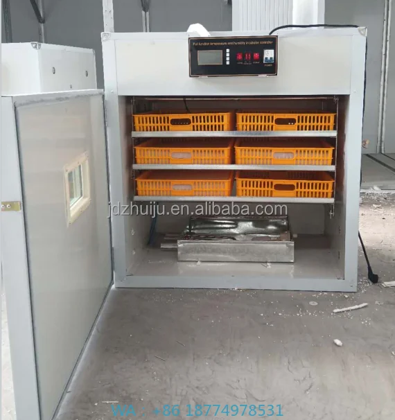 Incubator with Panel for Farm Using Energy HJ-SI6Electricity and Power 528 Eggs Capacity Solar Eggs
Incubator with Panel for Farm Using Energy HJ-SI6Electricity and Power 528 Eggs Capacity Solar Eggs