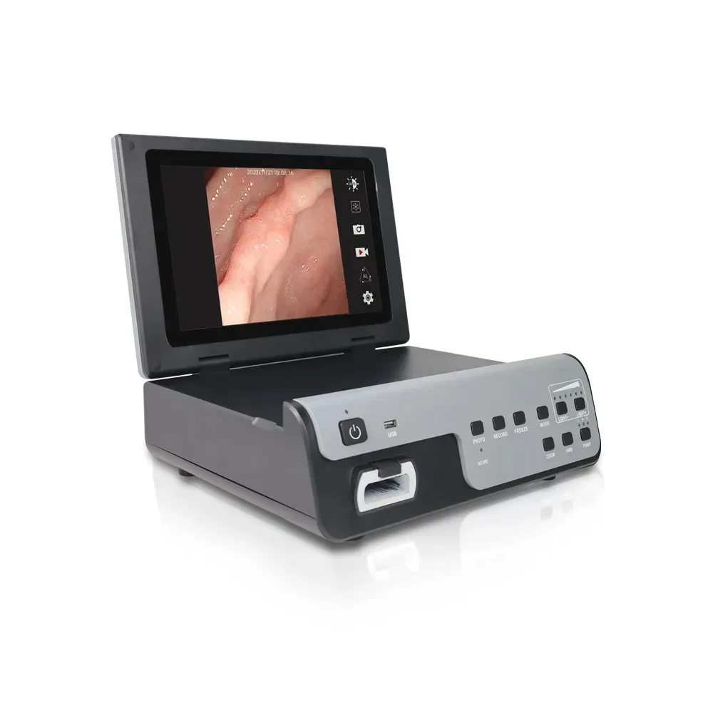 Portable HD Rigid Endoscopy System for Animals and Vets Clear USB Endoscopy Camera Veterinary Surgical Instruments
Portable HD Rigid Endoscopy System for Animals and Vets Clear USB Endoscopy Camera Veterinary Surgical Instruments