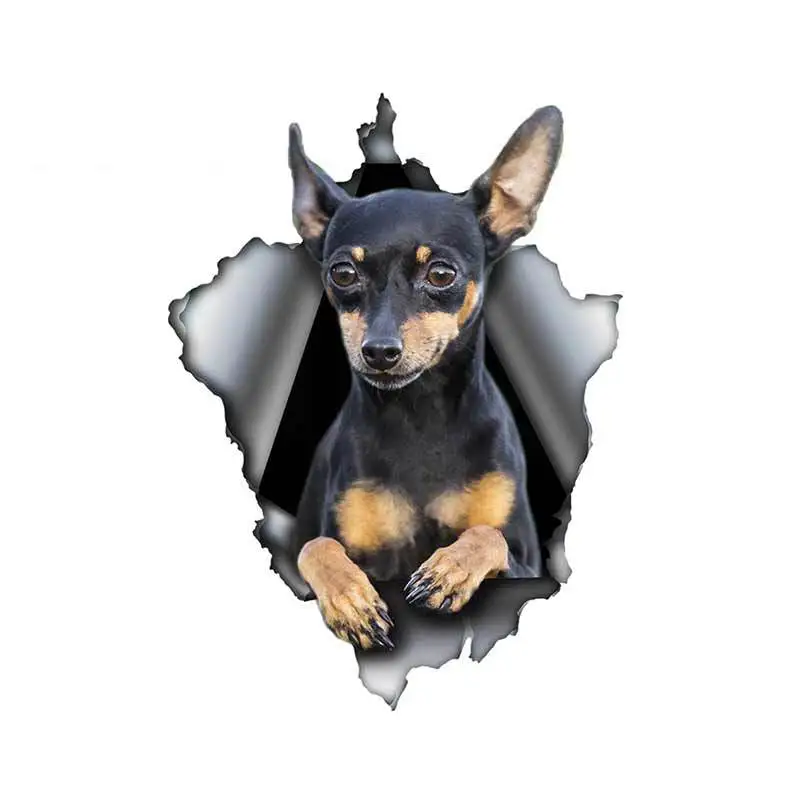 Pinscher Dog Car Sticker Torn Metal Decal Waterproof 3D Car Decals Reflective Vinyl Pet Dog Stickers 13cm X 9.7cm
Pinscher Dog Car Sticker Torn Metal Decal Waterproof 3D Car Decals Reflective Vinyl Pet Dog Stickers 13cm X 9.7cm