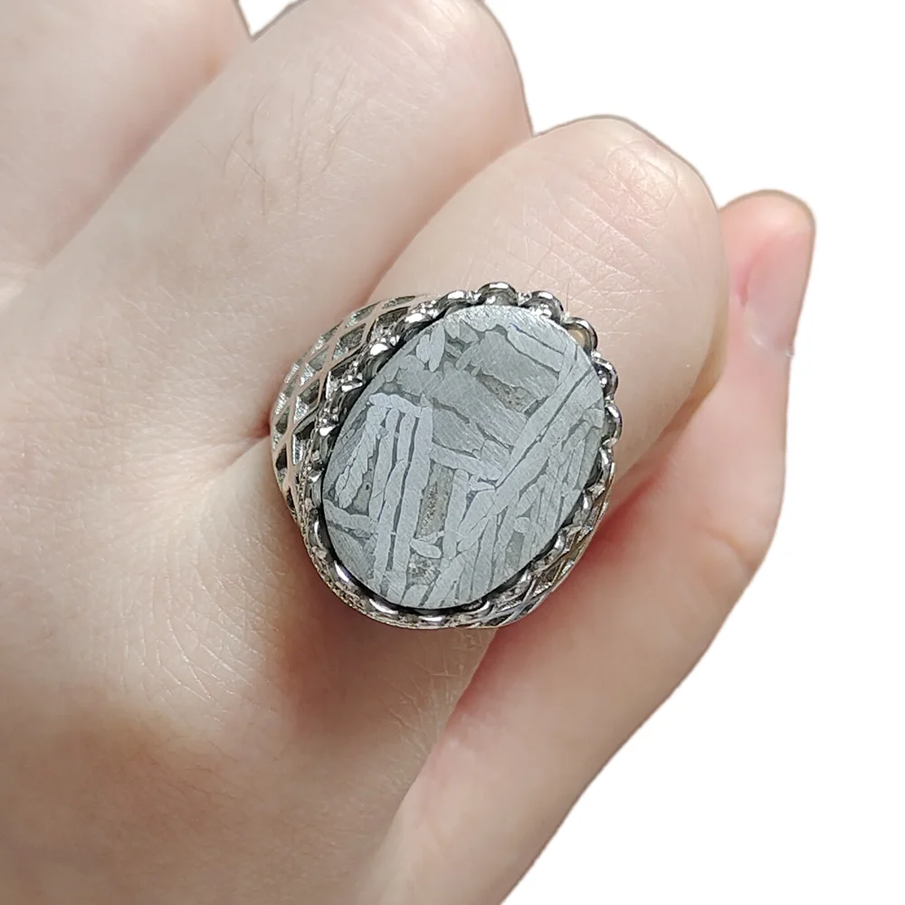 Muonionalusta Iron Meteorite Ring S925 silver case Natural Meteorite Material Ring Collection
Muonionalusta Iron Meteorite Ring S925 silver case Natural Meteorite Material Ring Collection