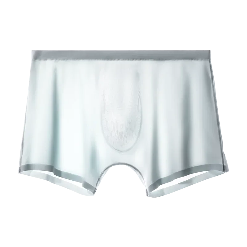 5PCS Men's underwear, men's ice silk 3D punched bottom crotch, four-corner pants, seamless ultra-thin, flat-corner pants, summer
5PCS Men's underwear, men's ice silk 3D punched bottom crotch, four-corner pants, seamless ultra-thin, flat-corner pants, summer