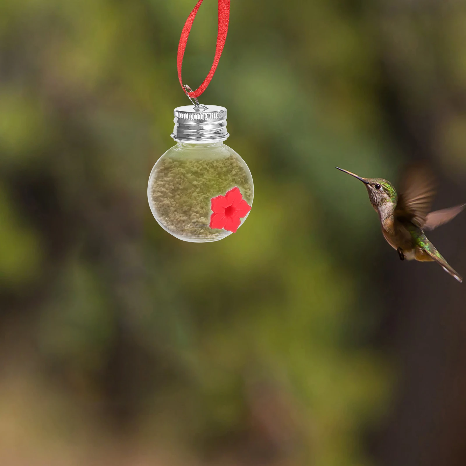 Plastic Bird Durable Transparent Hanging Outdoor Decor Garden nament Feeders Outdoor Hanging Bird Feeders Containers Baby
Plastic Bird Durable Transparent Hanging Outdoor Decor Garden nament Feeders Outdoor Hanging Bird Feeders Containers Baby