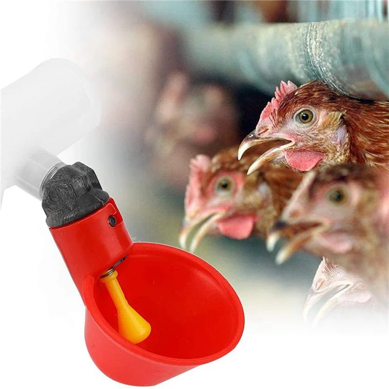 Chicken Drinking Cup 100 Pieces Automatic Drinker Drinker Red Plastic Duck Bird Quail Pigeon Hen Drinker Bowl
Chicken Drinking Cup 100 Pieces Automatic Drinker Drinker Red Plastic Duck Bird Quail Pigeon Hen Drinker Bowl