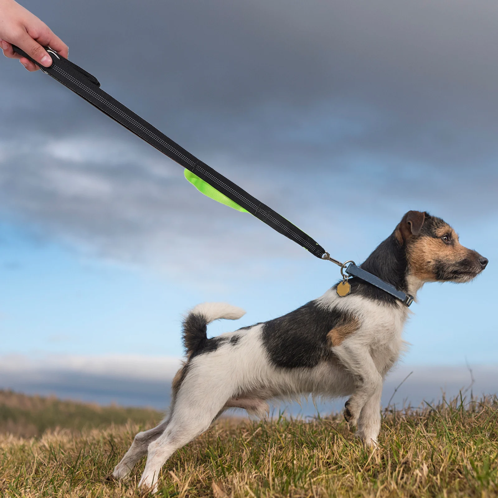 2pcs Reflective Dog Nylon Pet -Resistant Training 360° Rotating Hook For Medium Small Dogs Outdoor Kitten Leash Heavy
2pcs Reflective Dog Nylon Pet -Resistant Training 360° Rotating Hook For Medium Small Dogs Outdoor Kitten Leash Heavy