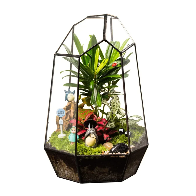 Moss Glass Greenhouse Micro-Landscape Ecological Bottle Pot Cover Creative Gift Plant Six-Sided Cut
Moss Glass Greenhouse Micro-Landscape Ecological Bottle Pot Cover Creative Gift Plant Six-Sided Cut
