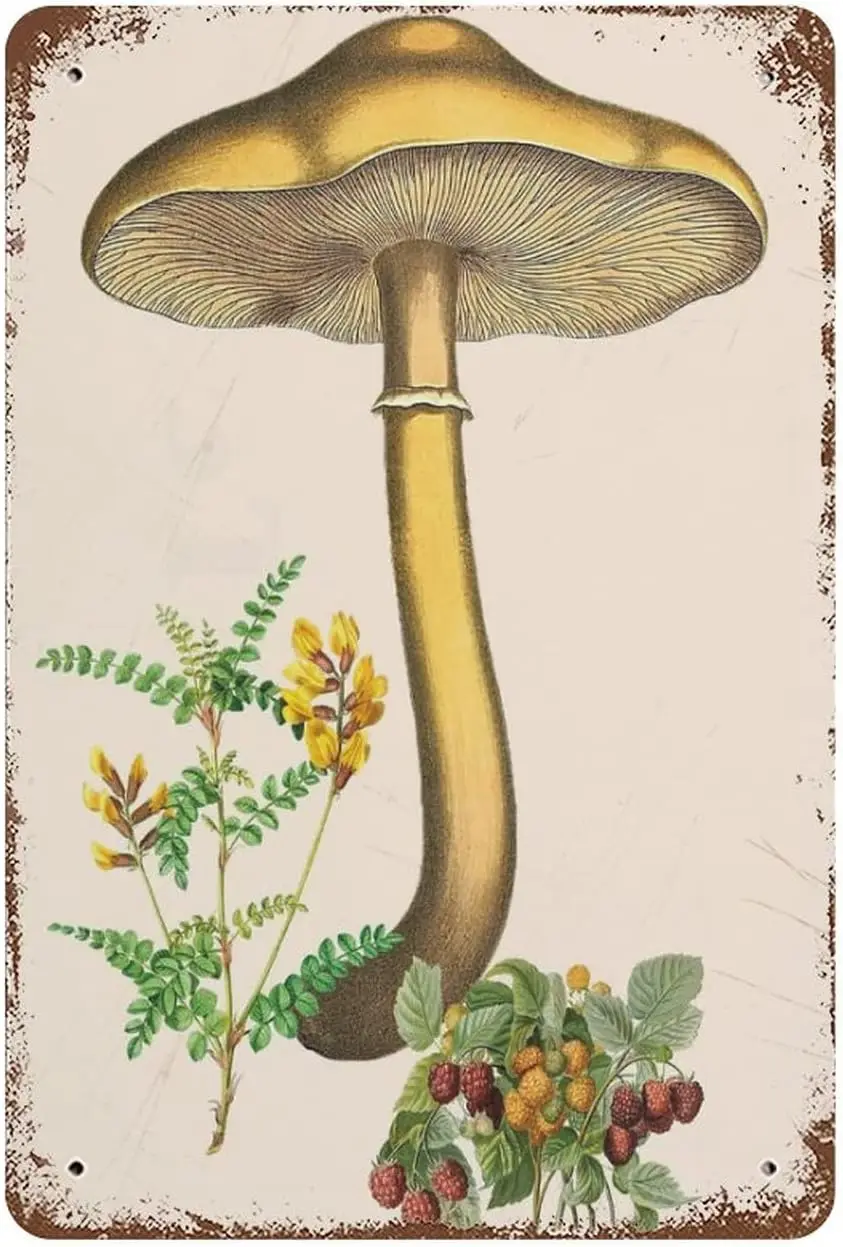 Vintage Mushroom Fun Vintage Metal Tin Sign Wall Art Decor Poster Kitchen Cafe Office Bedroom Bathroom Sign Home Bar
Vintage Mushroom Fun Vintage Metal Tin Sign Wall Art Decor Poster Kitchen Cafe Office Bedroom Bathroom Sign Home Bar