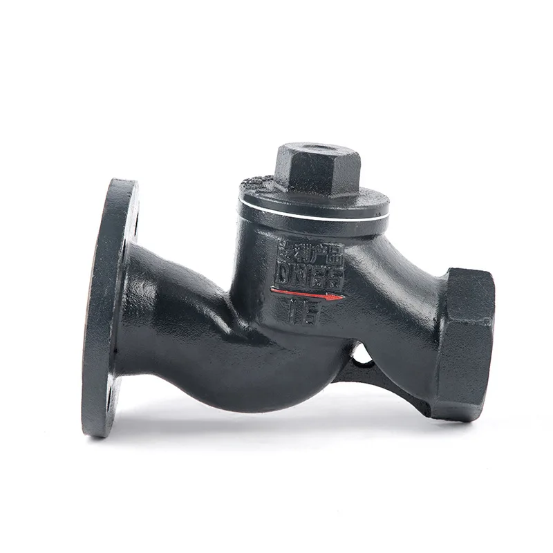 Factory Direct DN65 Spherical Check Valve for Preventing Backflow at the Outlet of Domestic Sewage Pump
Factory Direct DN65 Spherical Check Valve for Preventing Backflow at the Outlet of Domestic Sewage Pump