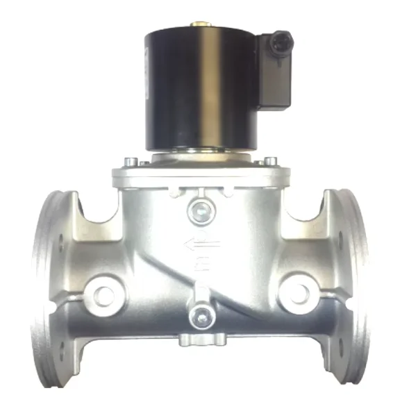 Elektrogas VMR7-2 DN65,VMR8-2 DN80 Natural Gas Electromagnetic Valve
Elektrogas VMR7-2 DN65,VMR8-2 DN80 Natural Gas Electromagnetic Valve