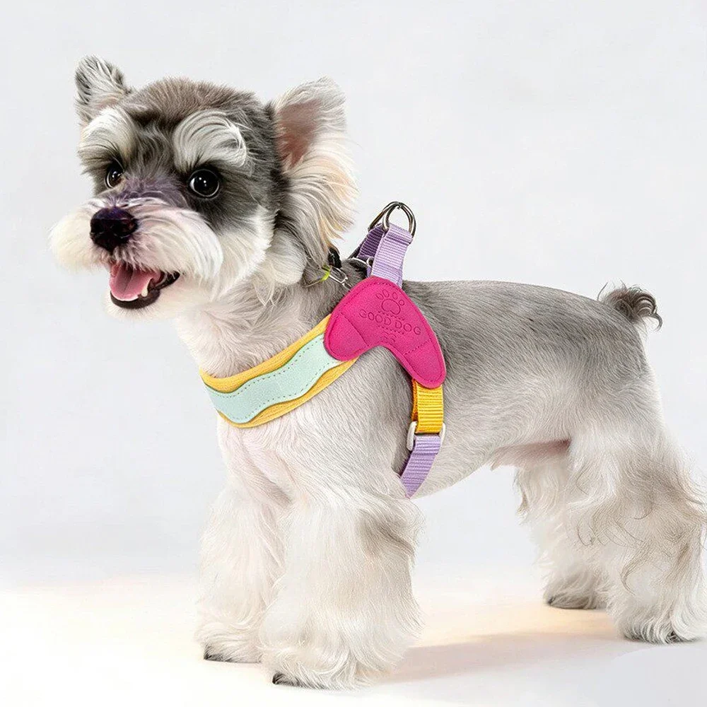 Small Dog Harness Vest Y Back No Choke Pet Leash Dopamine Style Breathable Material for Puppy Walking Training Outdoor
Small Dog Harness Vest Y Back No Choke Pet Leash Dopamine Style Breathable Material for Puppy Walking Training Outdoor