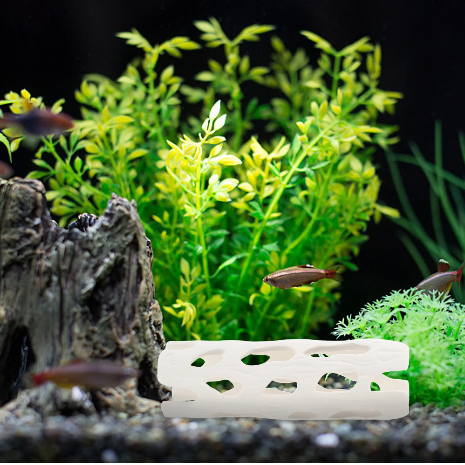 Ceramic Fish Shelter Cave Aquarium Hiding Breeding Habitat for Small Tanks Salt Fresh Water Fish Hideaway Play Space Decor
Ceramic Fish Shelter Cave Aquarium Hiding Breeding Habitat for Small Tanks Salt Fresh Water Fish Hideaway Play Space Decor