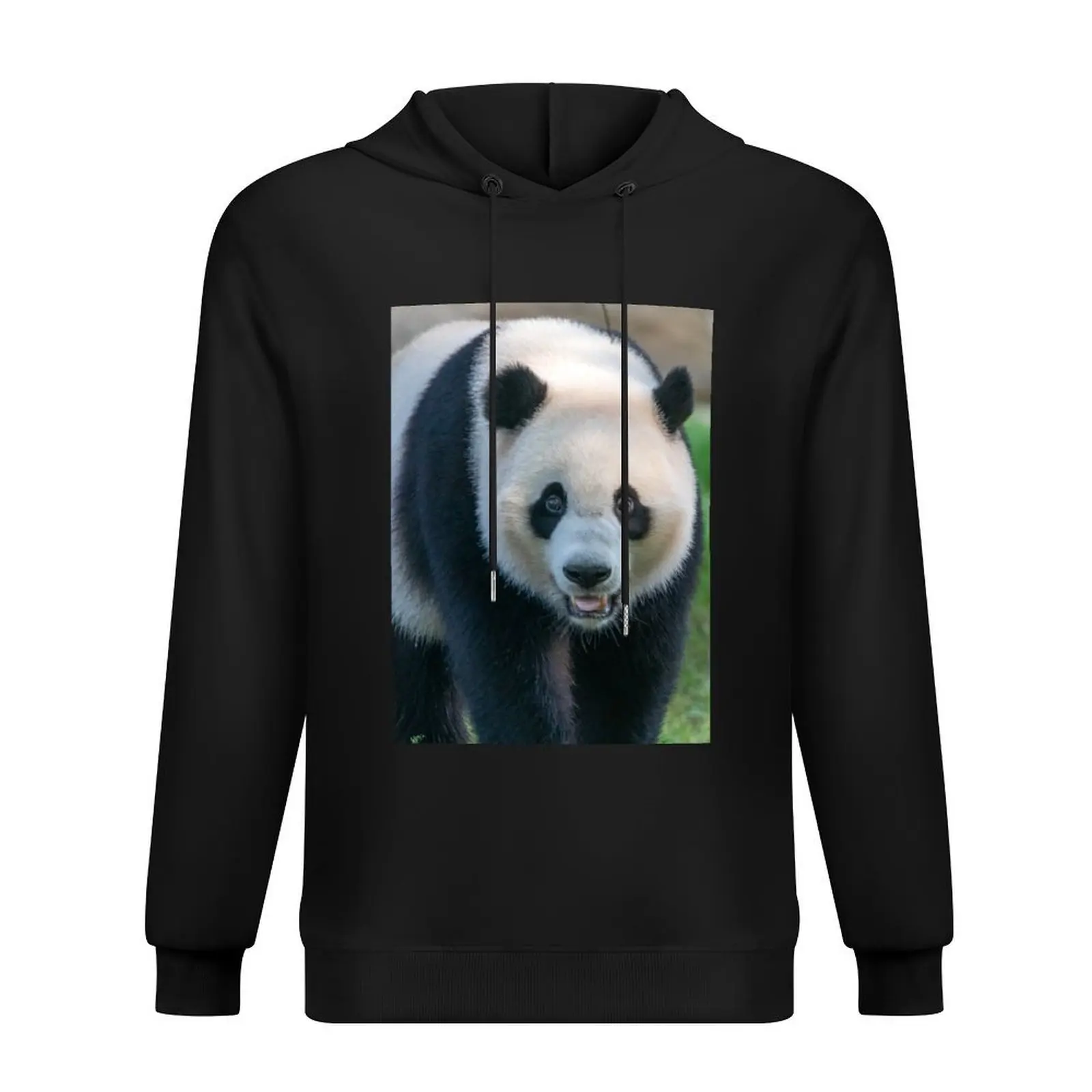 Giant Panda Xiao Qi Ji at the National Zoo Hoodie fashion men men clothing men clothes blouse hoodie graphic 
Giant Panda Xiao Qi Ji at the National Zoo Hoodie fashion men men clothing men clothes blouse hoodie graphic