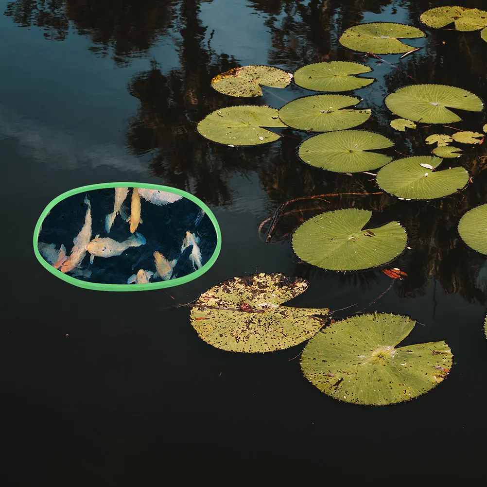10pcs Fish Tank Grass Green 5 Black Floating Plant Circle Reusable Duckweed Holder Isolation AccessoriesAquarium
10pcs Fish Tank Grass Green 5 Black Floating Plant Circle Reusable Duckweed Holder Isolation AccessoriesAquarium