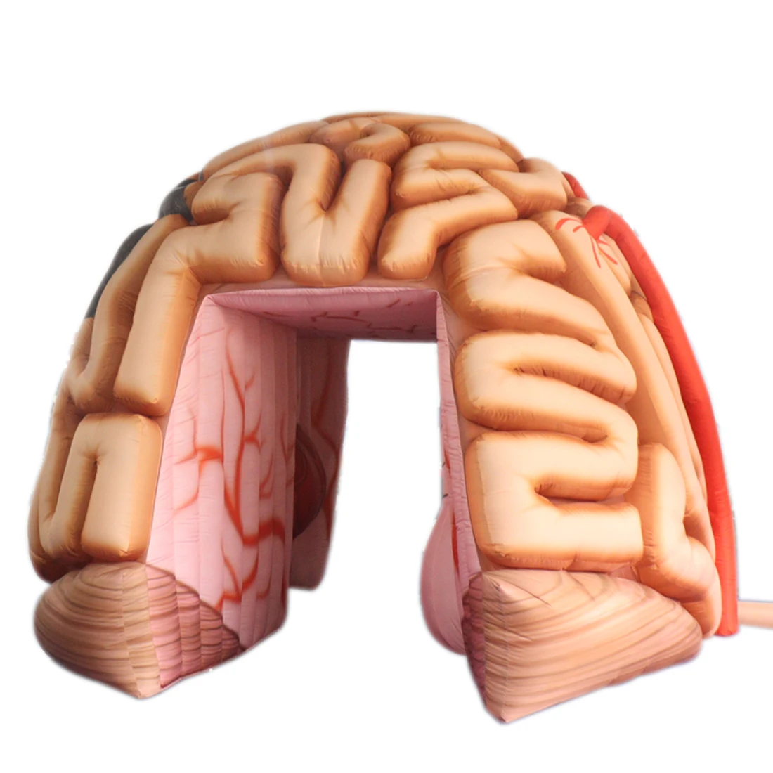 Inflatable Brain Tunnel Tent Medical Exhibits Advertising Large Inflatable Brain Model Replica for Communities Display Medical
Inflatable Brain Tunnel Tent Medical Exhibits Advertising Large Inflatable Brain Model Replica for Communities Display Medical