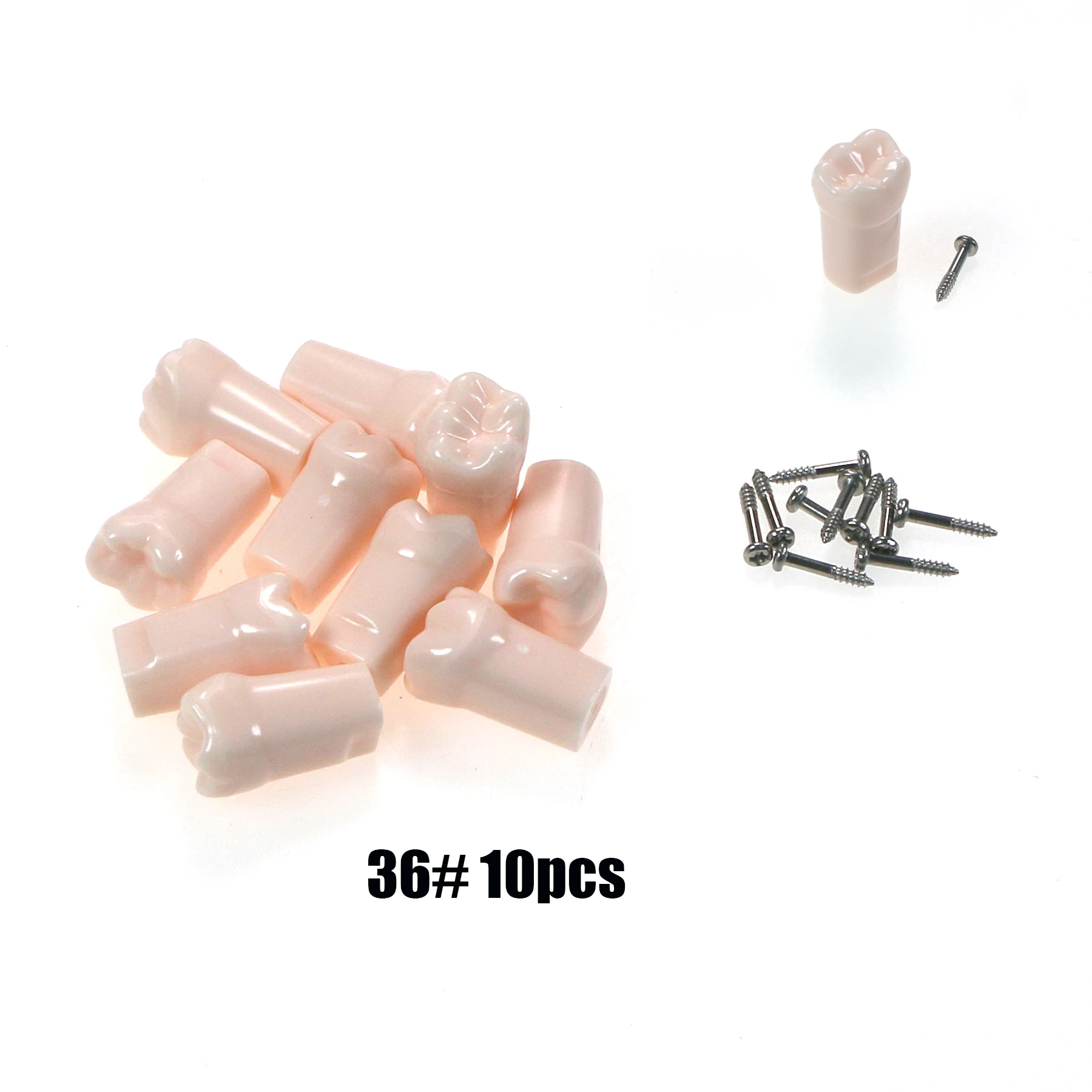 M8024 Dental Typodont Teeth Model Removable Individual Screw-in Resin Denture Practice Tooth Kilgore NISSIN 500 Type 10PCS
M8024 Dental Typodont Teeth Model Removable Individual Screw-in Resin Denture Practice Tooth Kilgore NISSIN 500 Type 10PCS