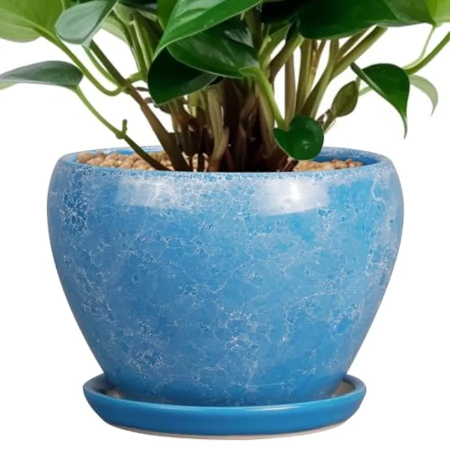 Plant Pot - Ceramic Planter Pot with Drainage Hole and Saucer, Glaze Succulent Pot Modern Round Flower Pot for door Plants
Plant Pot - Ceramic Planter Pot with Drainage Hole and Saucer, Glaze Succulent Pot Modern Round Flower Pot for door Plants