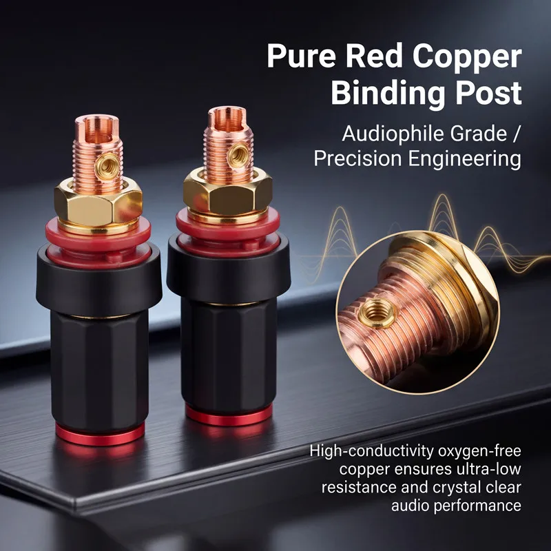 red copper terminal block, power amplifier, loudspeaker, CD accessory, loudspeaker socket, female socket
red copper terminal block, power amplifier, loudspeaker, CD accessory, loudspeaker socket, female socket