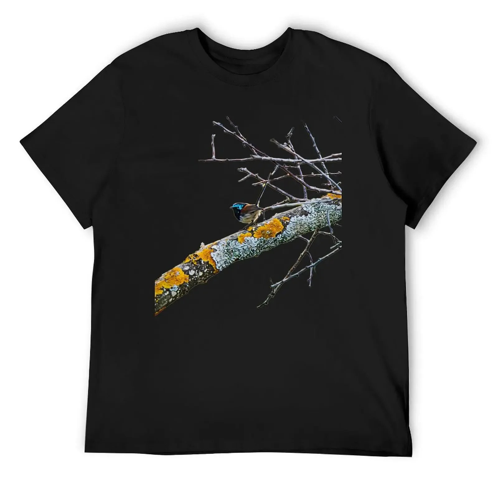 Variegated Fairy Wren on Mossy Branch T-Shirt plus size clothes gifts for boyfriend blacks anime t shirts plain t shirts men
Variegated Fairy Wren on Mossy Branch T-Shirt plus size clothes gifts for boyfriend blacks anime t shirts plain t shirts men