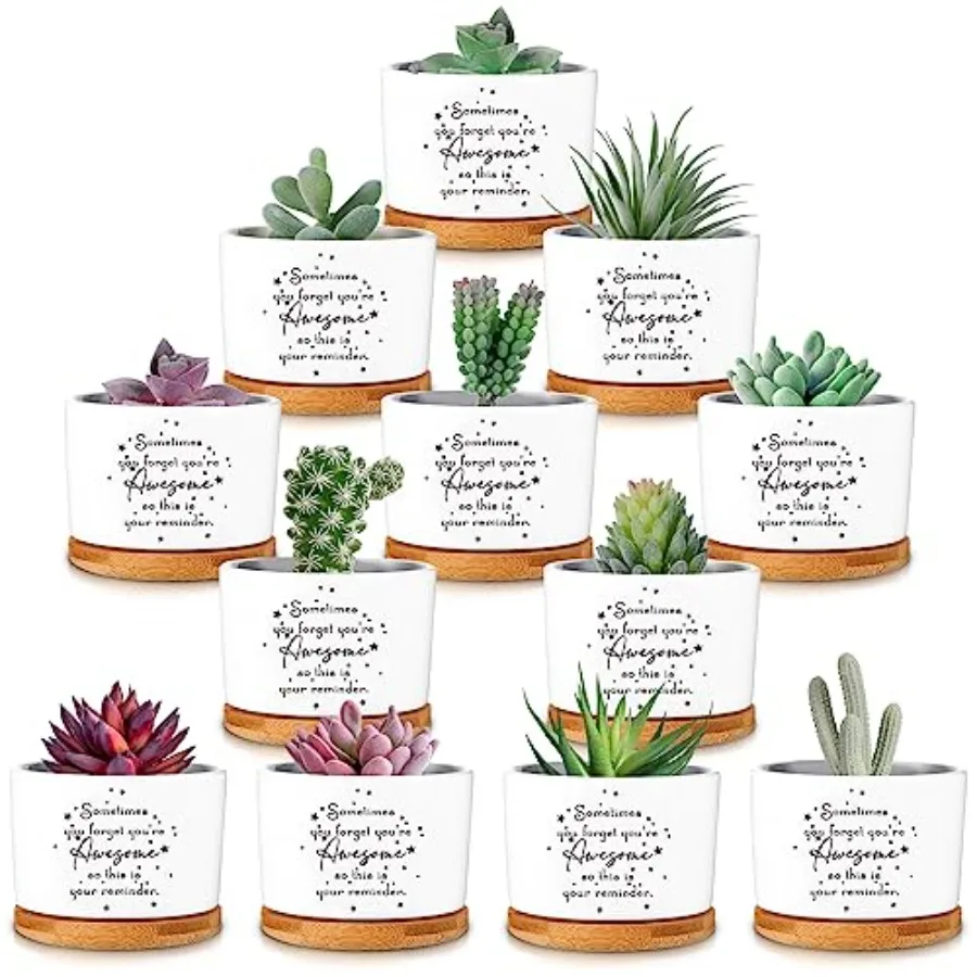 12 Pcs Inspirational Succulent Pots Thank You Gift Bulk for Women Employee Teacher Coworker Sometimes You Forget You're Small C
12 Pcs Inspirational Succulent Pots Thank You Gift Bulk for Women Employee Teacher Coworker Sometimes You Forget You're Small C