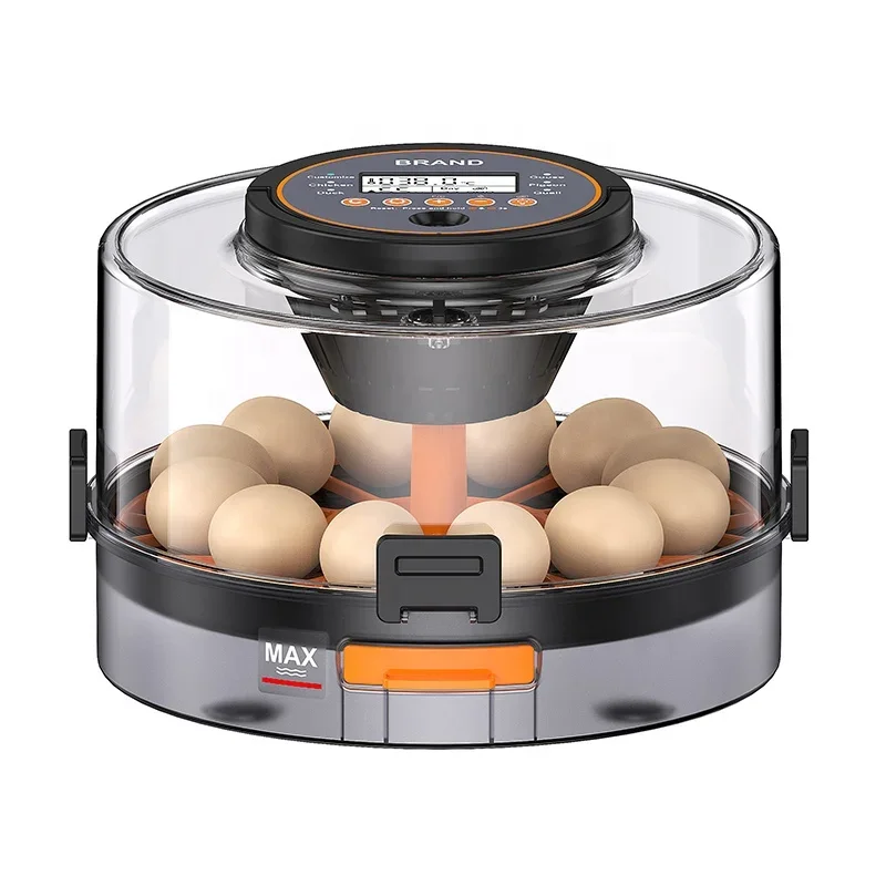 Automatic Farming equipment for chicken duck quail Full Eggs Incubators Blue Bird Egg Incubators For Home Use
Automatic Farming equipment for chicken duck quail Full Eggs Incubators Blue Bird Egg Incubators For Home Use