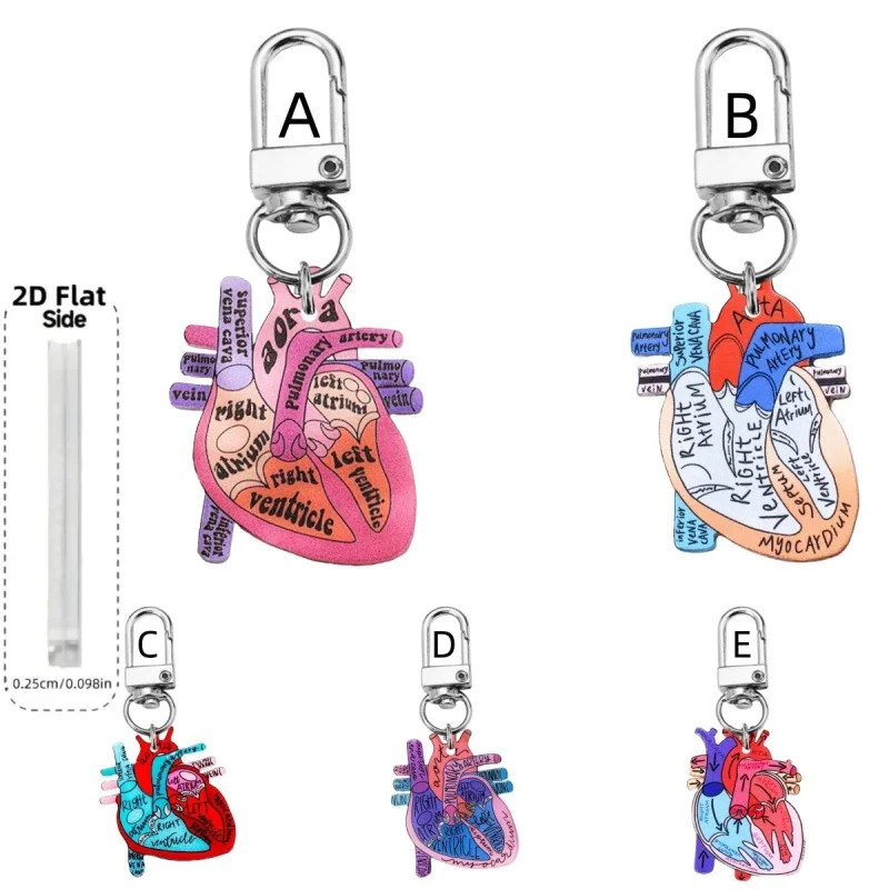 Anatomical Heart Diagram Keychain Anatomy and Blood Circulation Diagram of the Heart,Acrylic Funny Medical Cardiac Keychain
Anatomical Heart Diagram Keychain Anatomy and Blood Circulation Diagram of the Heart,Acrylic Funny Medical Cardiac Keychain