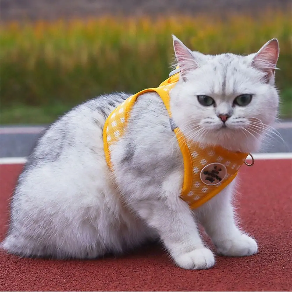 Comfortable Dog Harness Leash Breathable with Metal Buckle Pet Chest Vest Stylish Polyester Adjustable Cat Chest Strap
Comfortable Dog Harness Leash Breathable with Metal Buckle Pet Chest Vest Stylish Polyester Adjustable Cat Chest Strap