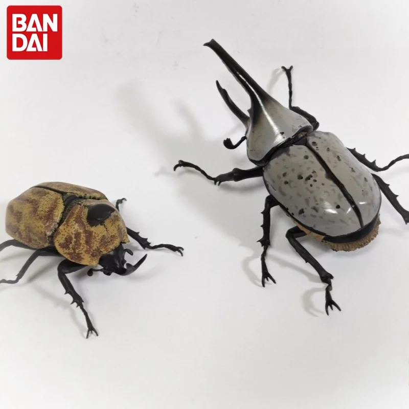 Bandai Original Gashapon Toys The Diversity Of Life On Earth Beetle 10 Capsule Toy Decoration Animal Model Creative Toys Gift
Bandai Original Gashapon Toys The Diversity Of Life On Earth Beetle 10 Capsule Toy Decoration Animal Model Creative Toys Gift