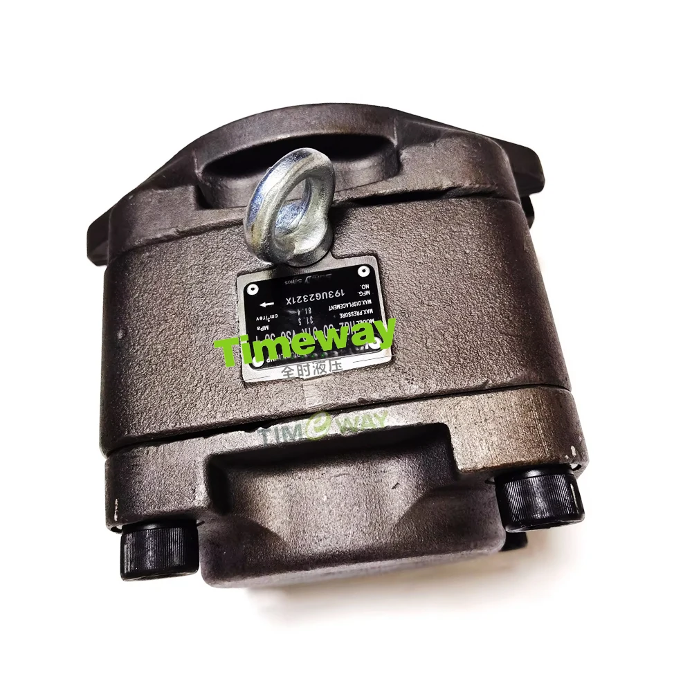 HG2 Internal Gear Pumps High Pressure Servo Oil Pump HG2-80-01R-VSC-36-1 High Pressure Pump
HG2 Internal Gear Pumps High Pressure Servo Oil Pump HG2-80-01R-VSC-36-1 High Pressure Pump