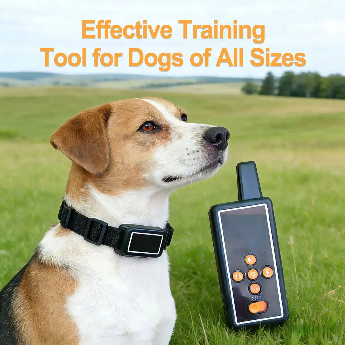 Upgrade 1000m Remote Dog Training Collar, Rechargeable Anti Bark Collar with Shock Vibration Sound, Waterproof, All Size Dog
Upgrade 1000m Remote Dog Training Collar, Rechargeable Anti Bark Collar with Shock Vibration Sound, Waterproof, All Size Dog