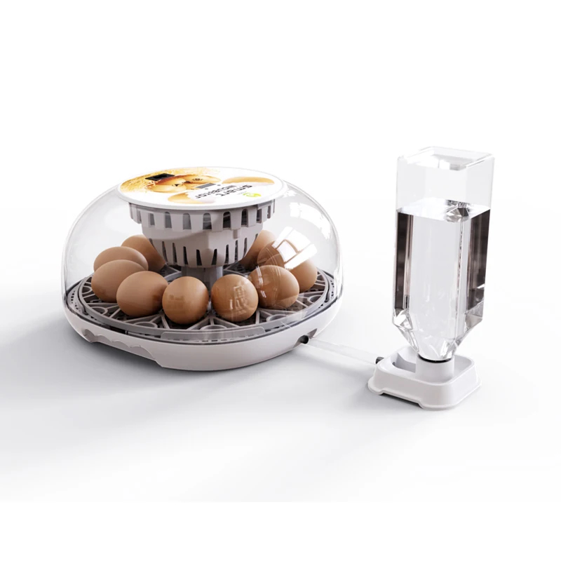 Popular Mini Chicks Incubators Temperatures Control Unit Hatchings 12 Eggs and Hatcher
Popular Mini Chicks Incubators Temperatures Control Unit Hatchings 12 Eggs and Hatcher