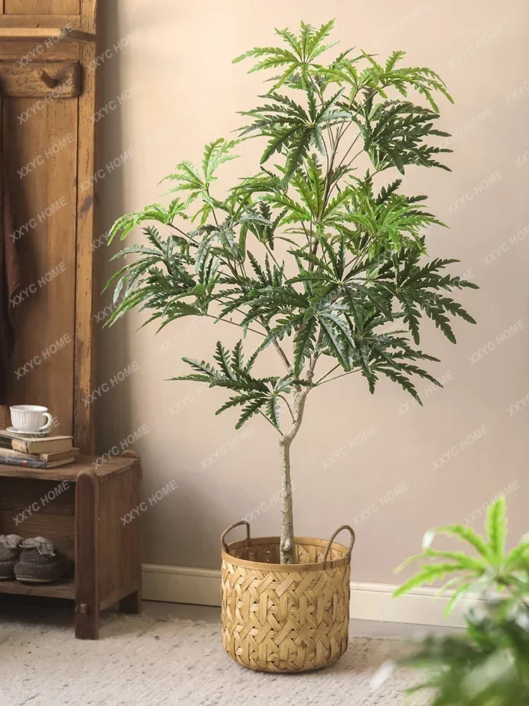 Моделирование Schefflera Elegantissima, большое растение, ландшафтное украшение, искусственные деревья, имитация дерева, украшение для гостиной
Моделирование Schefflera Elegantissima, большое растение, ландшафтное украшение, искусственные деревья, имитация дерева, украшение для гостиной