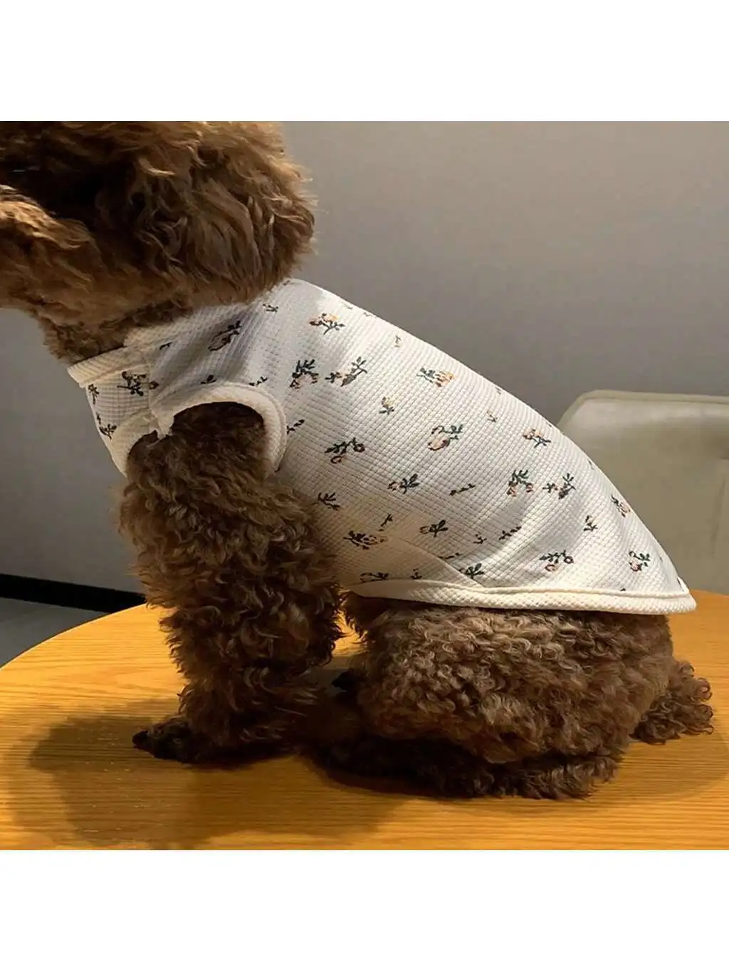 1pc Pet Vest, Spring/Summer Ins Style Milk Tea Floral Princess Thin Sleeveless Cat Clothes, Printed Pet Shirt
1pc Pet Vest, Spring/Summer Ins Style Milk Tea Floral Princess Thin Sleeveless Cat Clothes, Printed Pet Shirt