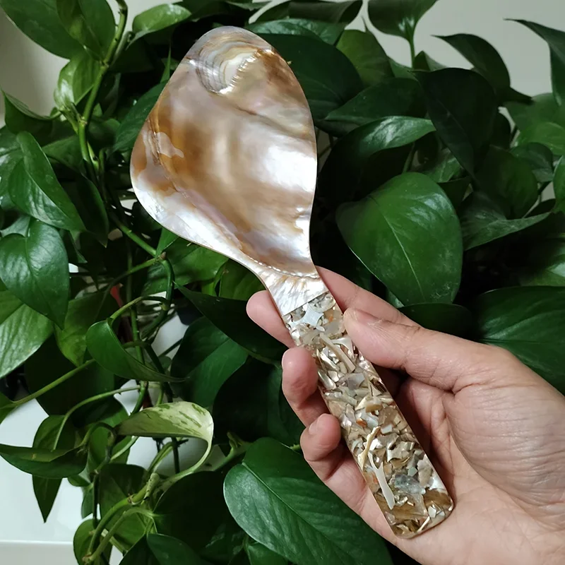 Mother of Pearl Rice Spoon Natural Shell Rice Paddle Heat Resistant Rice Cooker Spoon MOP Scoop for Home Kitchen Tool
Mother of Pearl Rice Spoon Natural Shell Rice Paddle Heat Resistant Rice Cooker Spoon MOP Scoop for Home Kitchen Tool