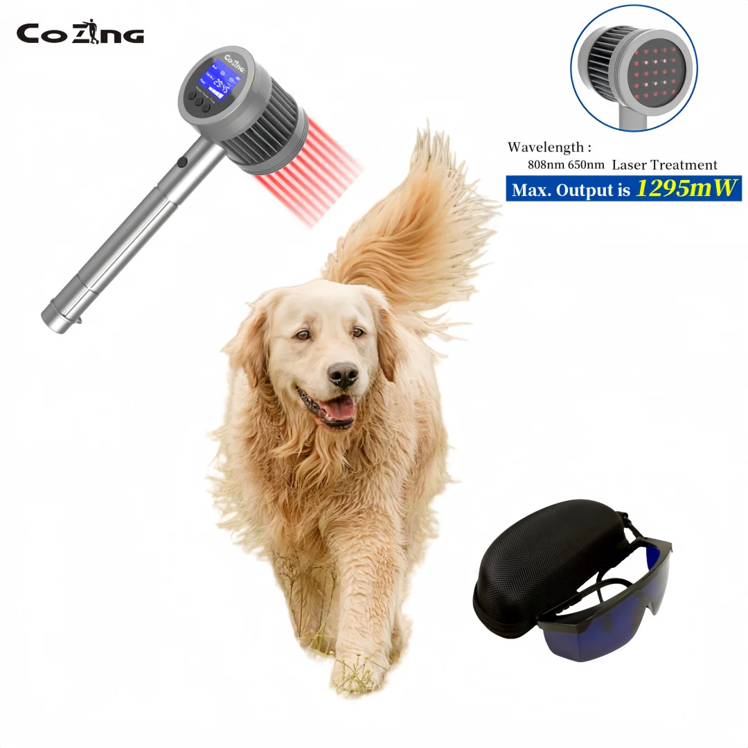 COZING Veterinary Pet Lower Back Pain Relief 808nm*6 Cold Laser Therapy Animals Wound Healing Physical Therapy Laser
COZING Veterinary Pet Lower Back Pain Relief 808nm*6 Cold Laser Therapy Animals Wound Healing Physical Therapy Laser
