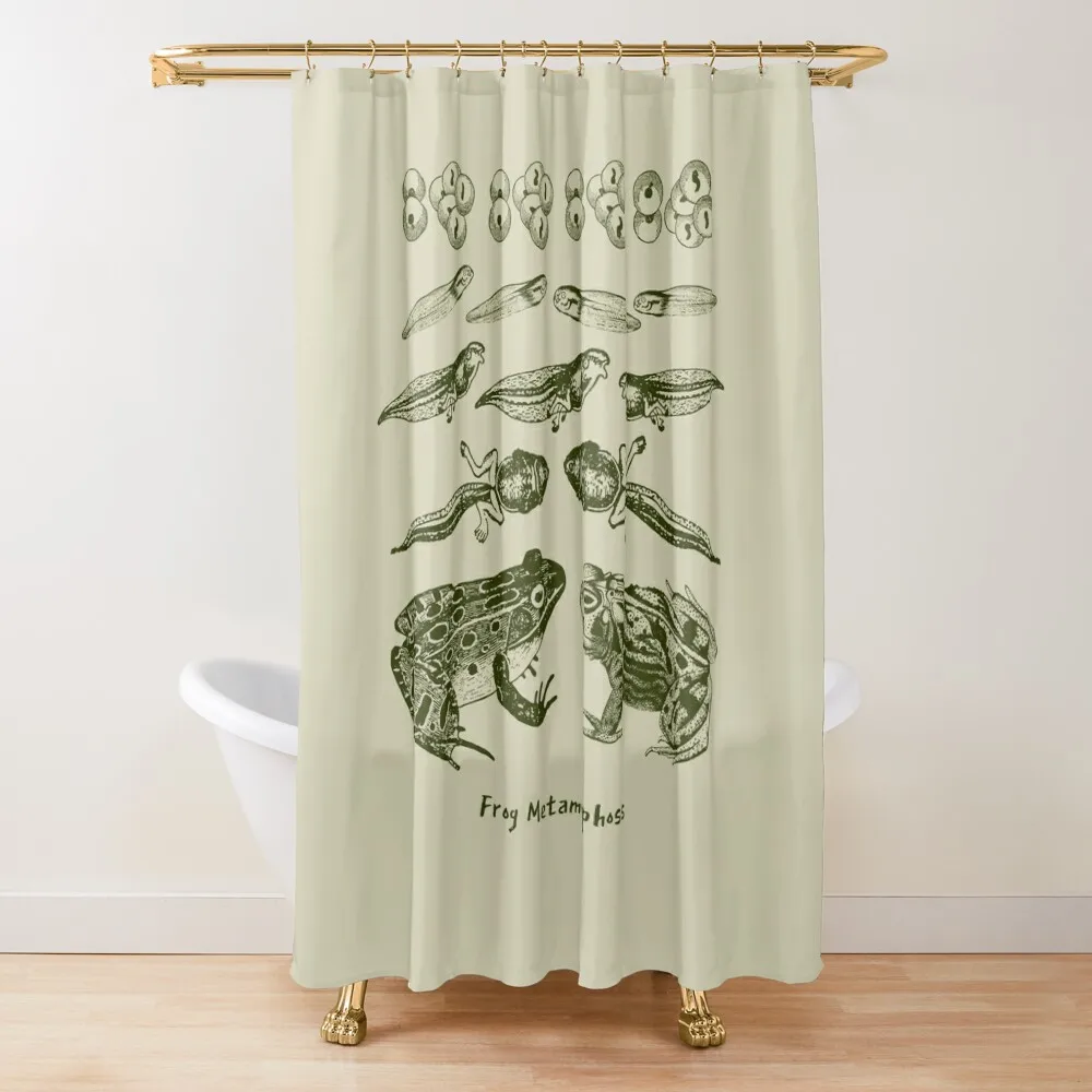 Винтажная биология: металморфозный жизненный цикл лягушки от жабы до голостика для любителей науков и занавеска для душа для энтуса естественной истории 
Винтажная биология: металморфозный жизненный цикл лягушки от жабы до голостика для любителей науков и занавеска для душа для энтуса естественной истории