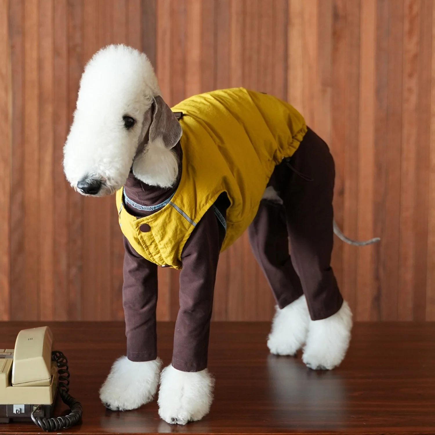 White Duck Down Coat Two Sides To Wear for Bedlington in Winter Thick Yellow Waterproof Jacket for Whippet in Cold Weather
White Duck Down Coat Two Sides To Wear for Bedlington in Winter Thick Yellow Waterproof Jacket for Whippet in Cold Weather